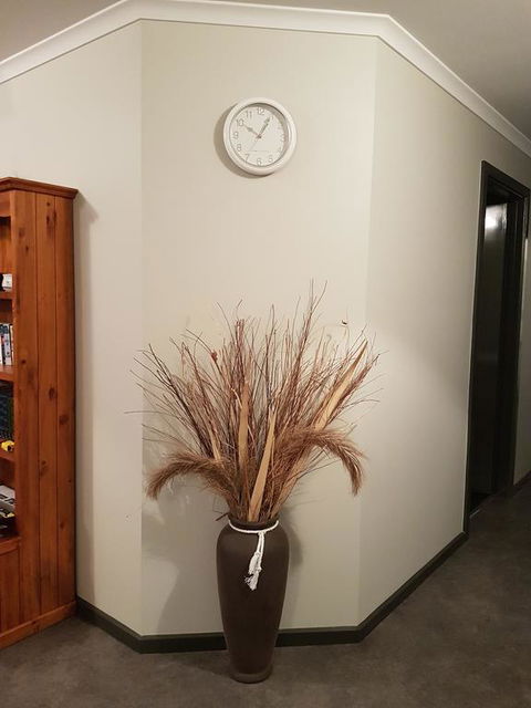 Wudinna Farm View - Tweed Heads Accommodation 3