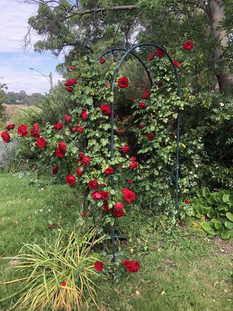 Zen Garde - Tweed Heads Accommodation 2
