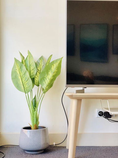 ZEN Homes On Collins - Tweed Heads Accommodation 3