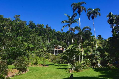 A Daintree Garden - Tweed Heads Accommodation 0