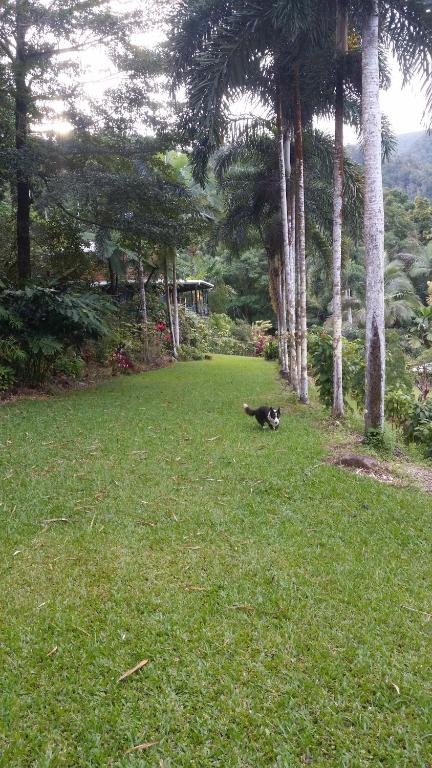 A Daintree Garden - Tweed Heads Accommodation 1