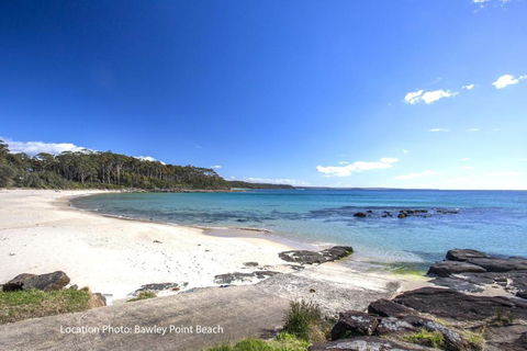Aidan - Tweed Heads Accommodation 2