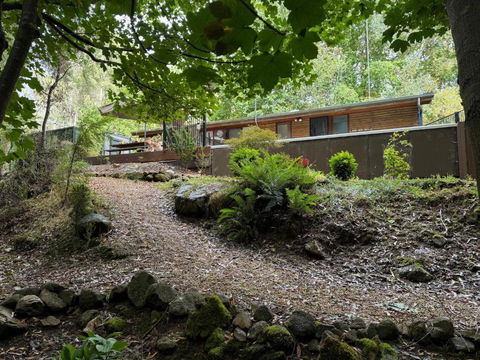 Alpine Creek House And Cabin - Tweed Heads Accommodation 0