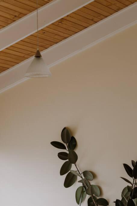 Amarela Haus - Calming Retreat Within Oceans Reach - Tweed Heads Accommodation 1