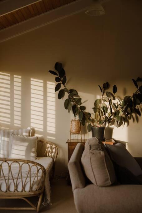 Amarela Haus - Calming Retreat Within Oceans Reach - Tweed Heads Accommodation 2
