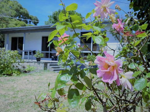 Apollo Bay Holiday House - Tweed Heads Accommodation 1