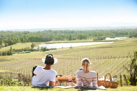 Audrey Wilkinson Vineyard - Tweed Heads Accommodation 0