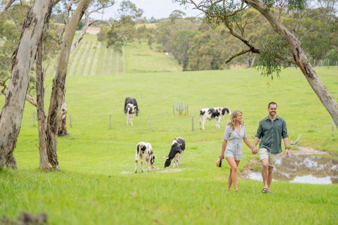 Away At Ancell - Tweed Heads Accommodation 1