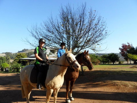 Balinga Cottages - Tweed Heads Accommodation 3