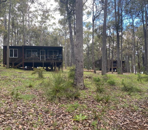 Balingup TimberTop Cottages - Tweed Heads Accommodation 1