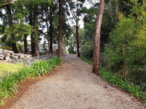 Bee-Haven Cottage - Tweed Heads Accommodation 4
