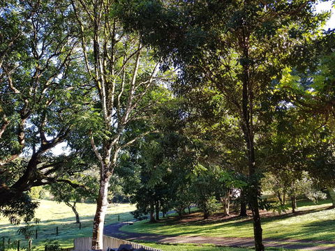 Bee-Haven Cottage - Tweed Heads Accommodation 7