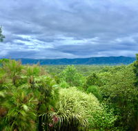 Daintree Manor BB - Tweed Heads Accommodation
