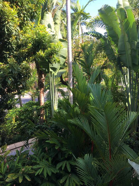 Port Douglas Apartments - Adults Only Oasis - Tweed Heads Accommodation 1