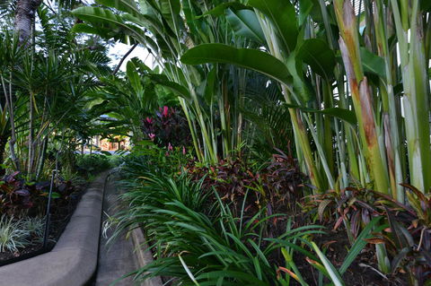 Port Douglas Apartments - Adults Only Oasis - Tweed Heads Accommodation 9