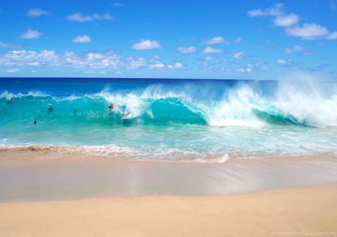 Spectrum Holiday Apartments - Tweed Heads Accommodation 10