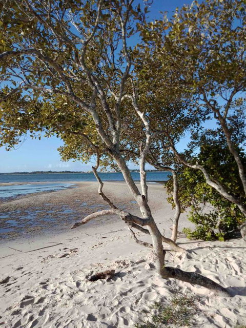 Modern Beach Villa - Tweed Heads Accommodation 15