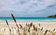 Modern Beach Villa - thumb 14