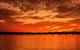 Quiet Location Across From Waterfront - South Esp, Bongaree - thumb 13