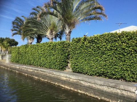 Private Canal Duplex With Pontoon - Oleander Drive, Bongaree - Tweed Heads Accommodation 8