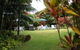 The Broken Banyan - thumb 16
