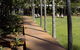 Pinetrees Lodge - thumb 20