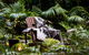 Pinetrees Lodge - thumb 21