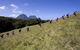 Pinetrees Lodge - thumb 19