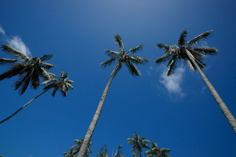 Beachcomber Lodge - Tweed Heads Accommodation 44