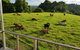 Seasons Of Maleny B&B - thumb 1