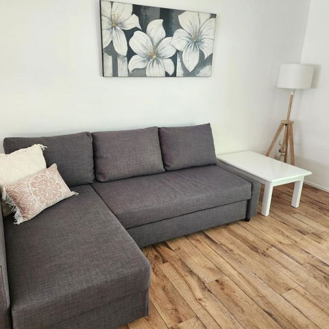 Best Of All Comfortable For The Our Four Legged Friends - Tweed Heads Accommodation 0
