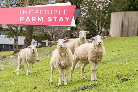 Carawatha On The Range - Unique Farm Stay - Tweed Heads Accommodation 0