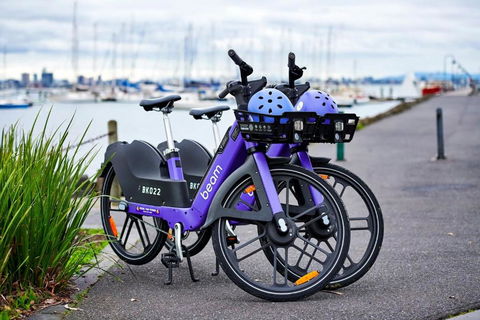 Contemporary Family Oasis In The Heart Of Newport - Tweed Heads Accommodation 3