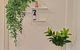 Cozy Stays - 15 Mins To Airport & Gateway To NSW - thumb 3