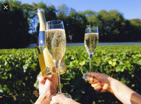 D110 Sweet Melon Super Stay-fantastic - Tweed Heads Accommodation 4