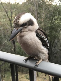 Book Tallebudgera Accommodation Vacations Tweed Heads Accommodation Tweed Heads Accommodation