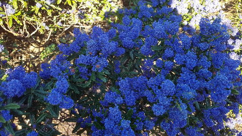 505 CONROD STRAIGHT MOUNT PANORAMA - Tweed Heads Accommodation 2