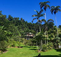 A Daintree Garden - Tweed Heads Accommodation