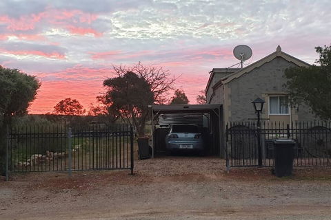 A Real Bush Retreat. Kangas, Emus & Starry Skies. - Tweed Heads Accommodation 1