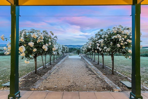 Abbotsford Country House Barossa Valley - Tweed Heads Accommodation 1