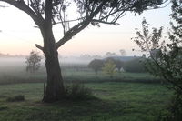 Book Heyfield Accommodation Vacations Tweed Heads Accommodation Tweed Heads Accommodation