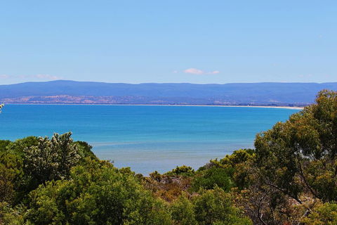 Acacia Cottage - Tweed Heads Accommodation 1