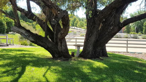 Equestrian Farm Stay - Tweed Heads Accommodation 0