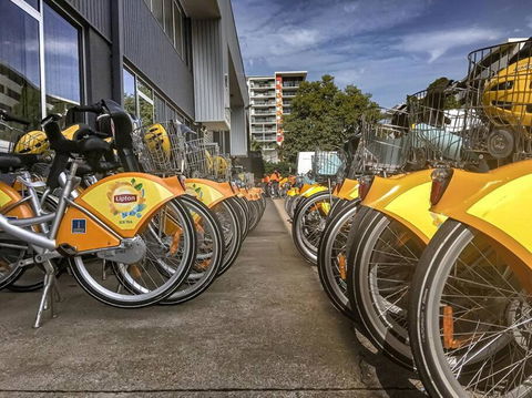 Experience More So Local - Tweed Heads Accommodation 2