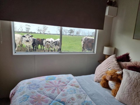 Farmstay - Tweed Heads Accommodation 1