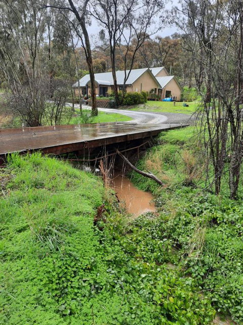 Frogmouth Hollow - Tweed Heads Accommodation 4