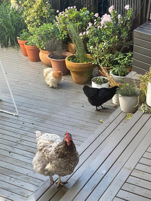 Gateway To The Peninsula - Tweed Heads Accommodation 0