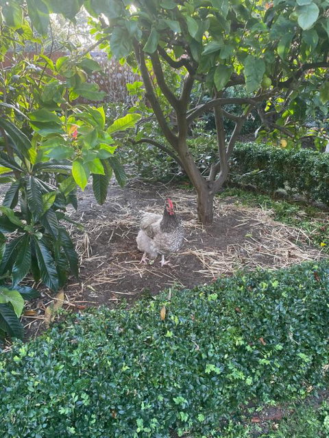 Gateway To The Peninsula - Tweed Heads Accommodation 1