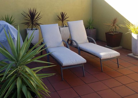 High On Penguin - Tweed Heads Accommodation 1