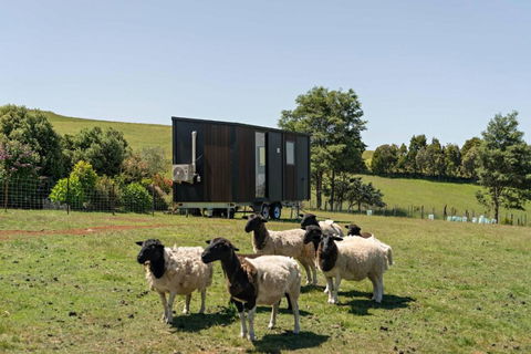 Hillside Hideout By Tiny Away - Tweed Heads Accommodation 2